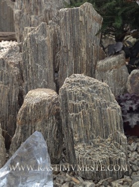 ГЛЫБЫ ГНЕЙС